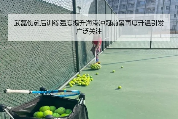 武磊伤愈后训练强度提升海港冲冠前景再度升温引发广泛关注（LEYUSPORTS）